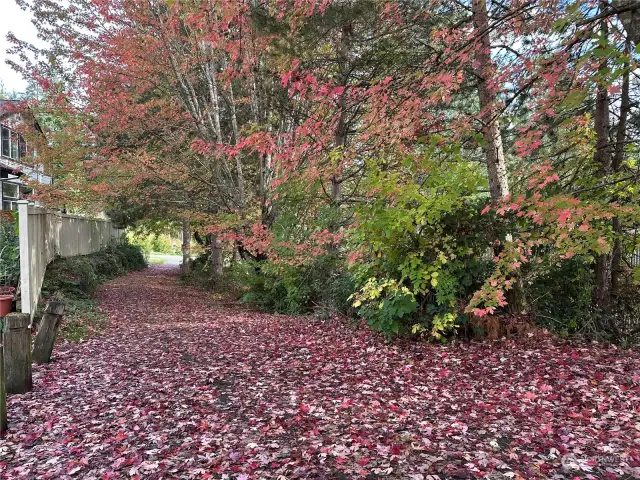 Pedestrian Path