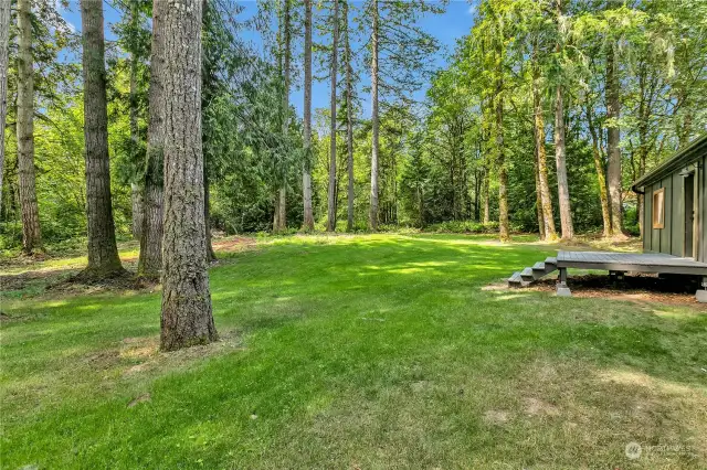 Tranquil private back yard.