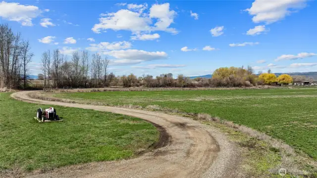 hay field