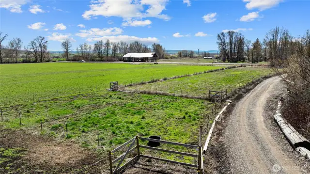 horse pasture