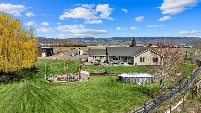 lawn and home