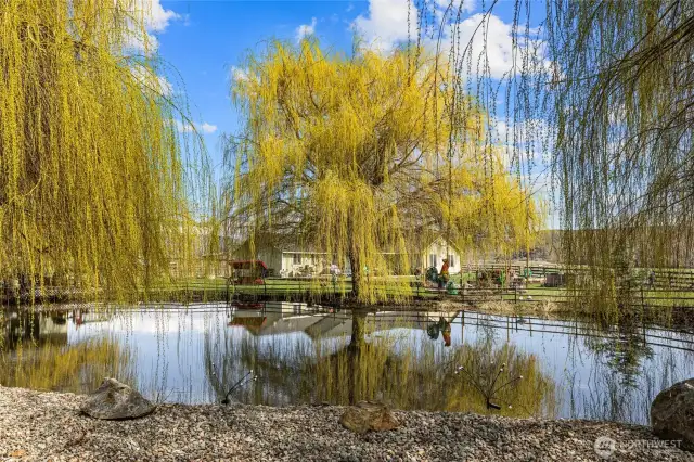 view of pond