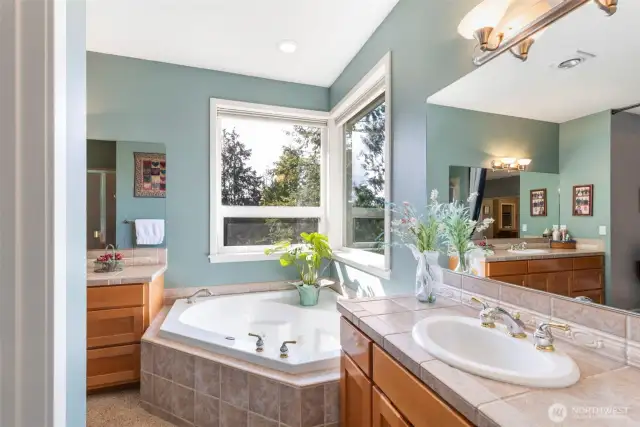 Relax in the beautiful oversized tub while the sun shines in! Ample counter space and vanity cabinets for all your wants and needs.