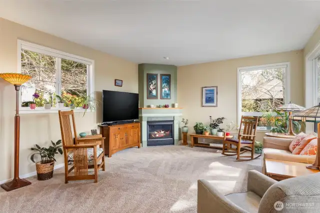 Ample oversized windows and a cozy gas fireplace welcome you home.