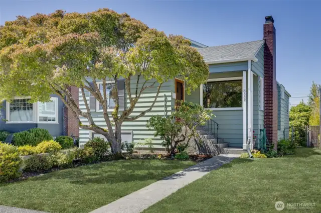 A lovely dogwood tree graces the entrance to the home, providing blossoms, summer shade, and brilliant fall color.