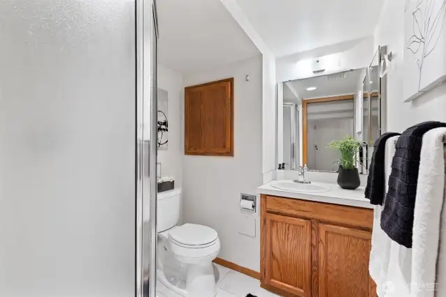 Lower level bathroom with shower is conveniently located near bedroom and flex space.