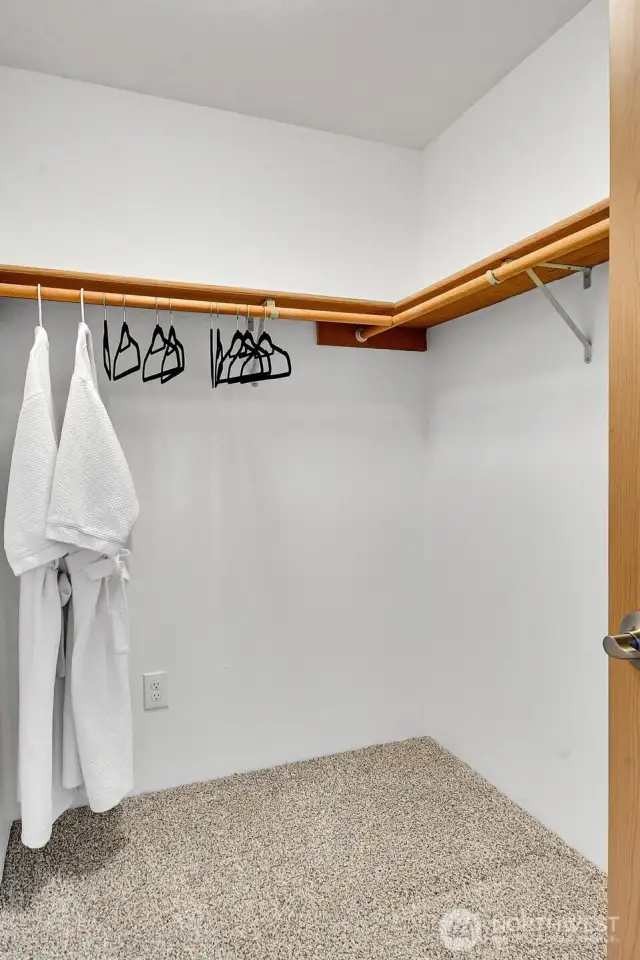 Walkin Closet in Bedroom