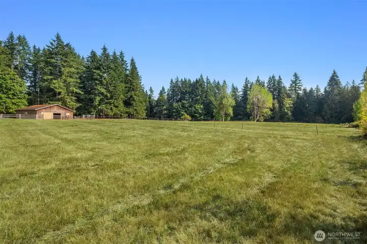 Ample pasture