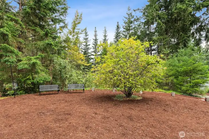 Expansive, park-like backyard surrounded by towering evergreens—your own private forest retreat. Freshly mulched grounds, mature landscaping, and seating areas create a peaceful outdoor space perfect for relaxing, gardening, or adding future features.