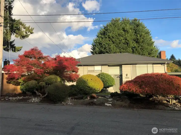 Spring is around the corner