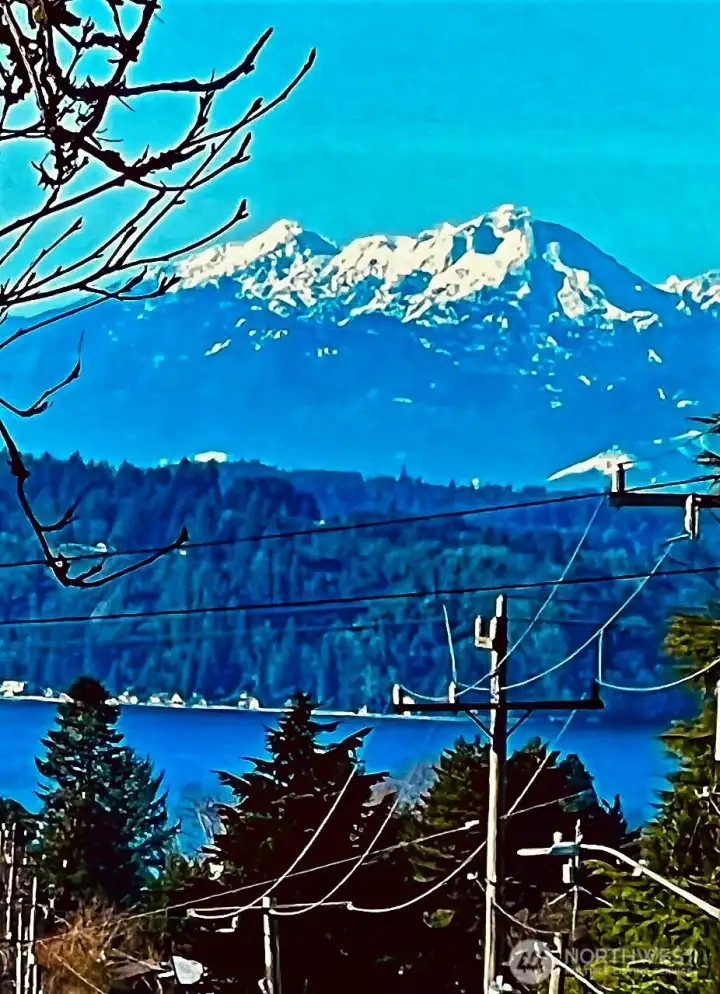 After you turn left onto 116th you will see Puget Sound