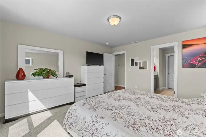 Primary Bedroom, Natural Light