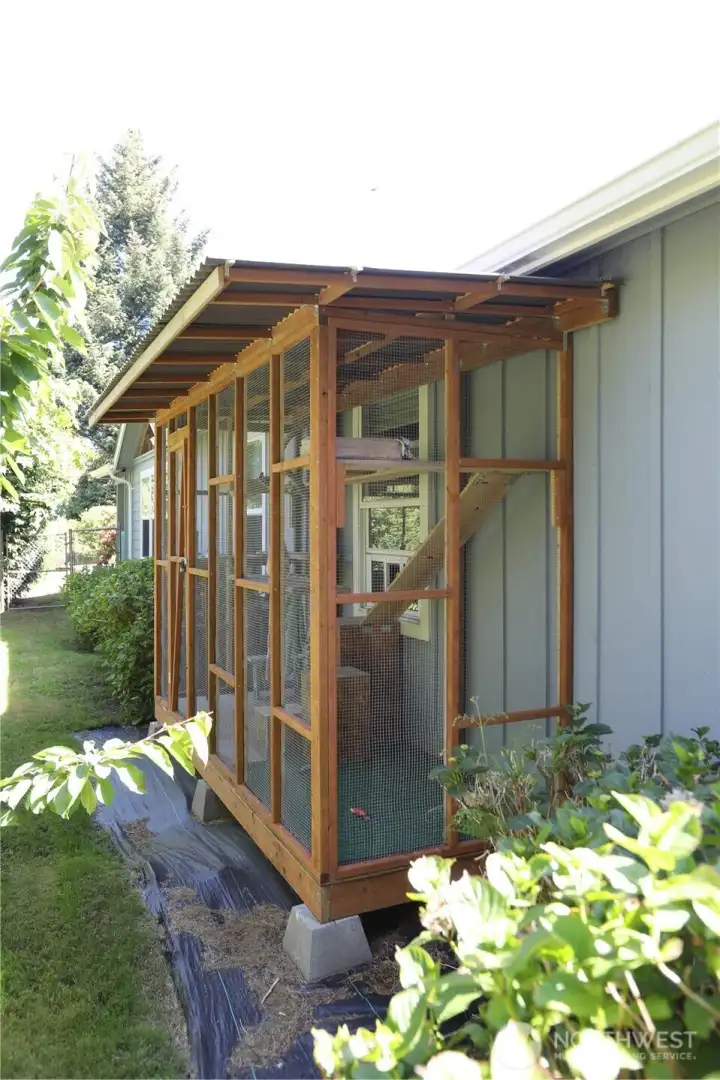 Catio / Aviary