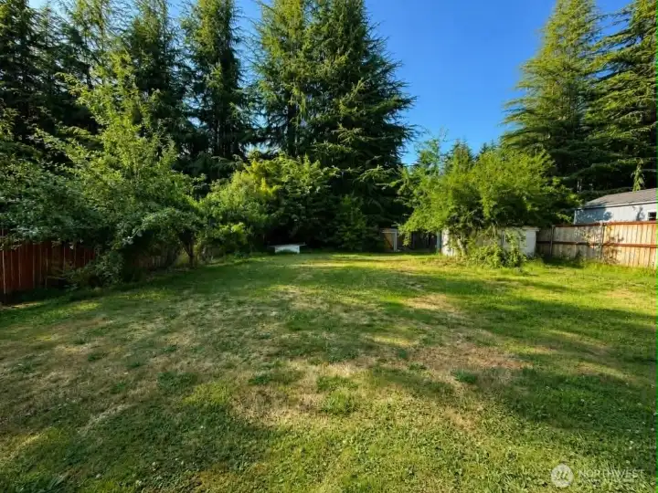 Backyard Backyard
