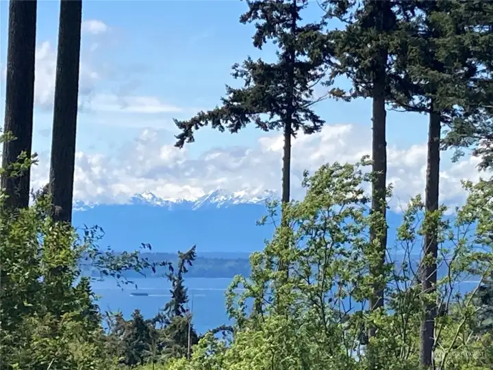 Cascades Cascades