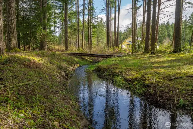 Seasonal Creek