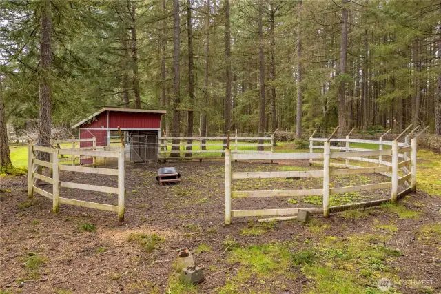 Horse Corral