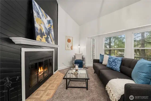 Living Room Fireplace