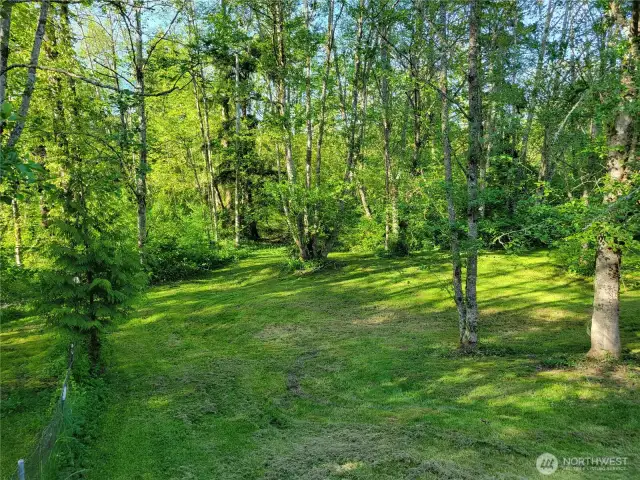 Front Yard