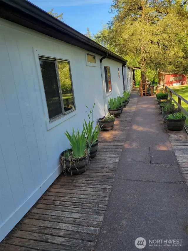 Back Deck