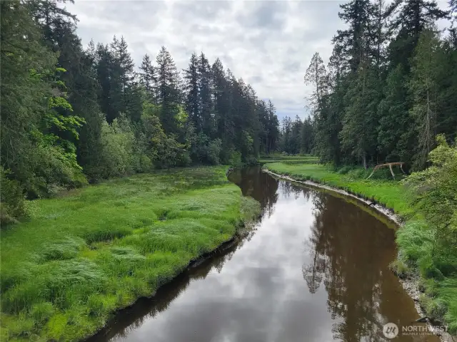 California Creek Viewed from Kickerville