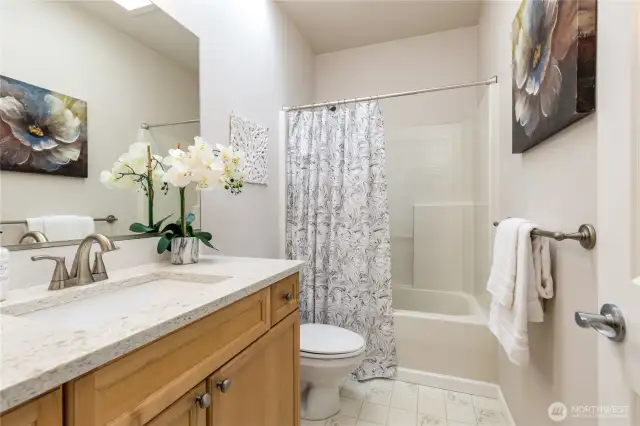 Full hall bathroom