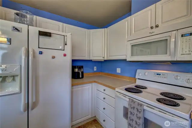 Matching appliances in kitchen