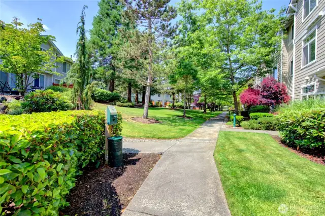Pathway to the garden area