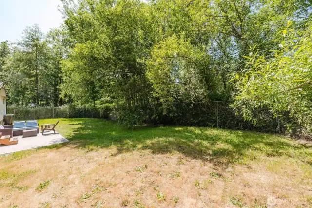 Large fenced in area!