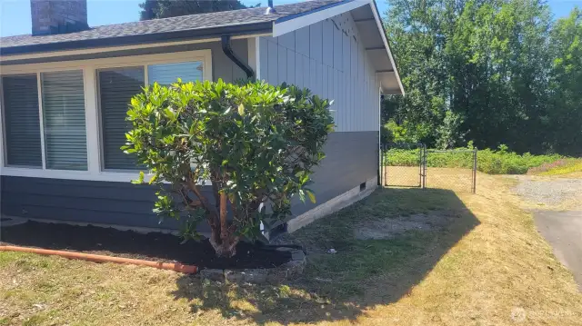 Northside of house