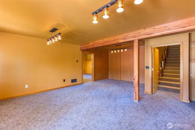 Family Room Downstairs