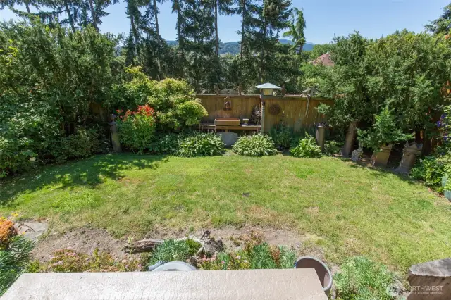 Fenced-in Backyard