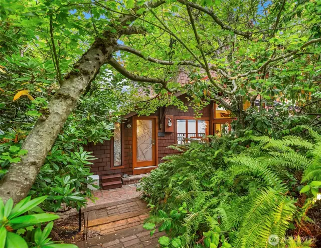 From your garage you come across the trail and enter your sweet abode. Many native plants keep things easy to maintain and a pleasure to all the senses.