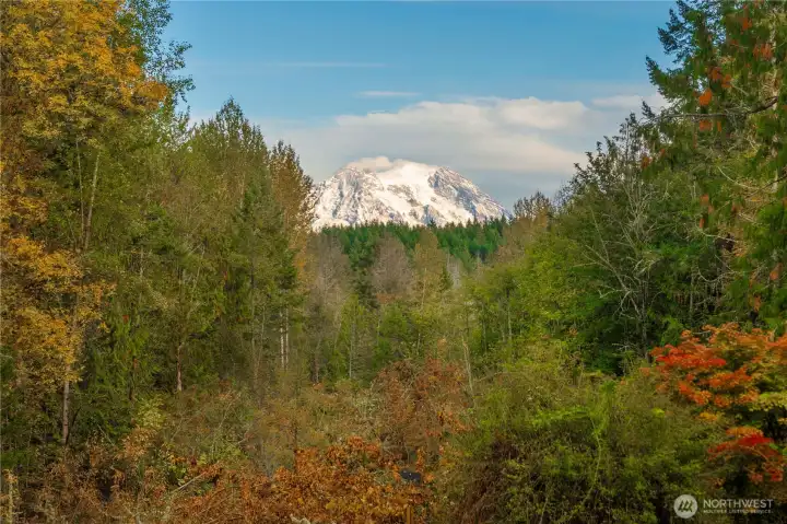 view from patio and living room window