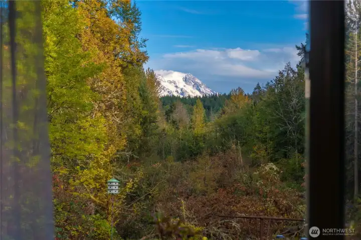 View from primary bedroom