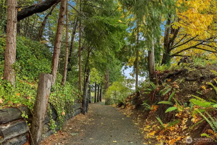 Private Concrete Driveway Leads you down the Waterfront Cabin and beach!