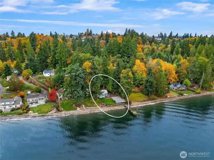 Wooded and Private Waterfront Cabin