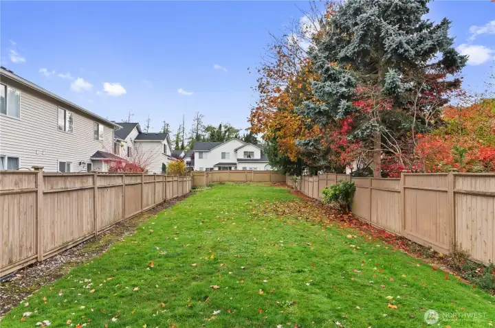 Pet area behind home.