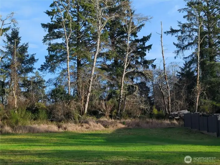 Property starts at the tree line...