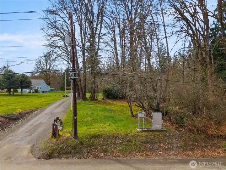 The driveway belongs to the neighbor. Here, you can see the grassy area past the big trees. The flat area extends way past this first clearing.