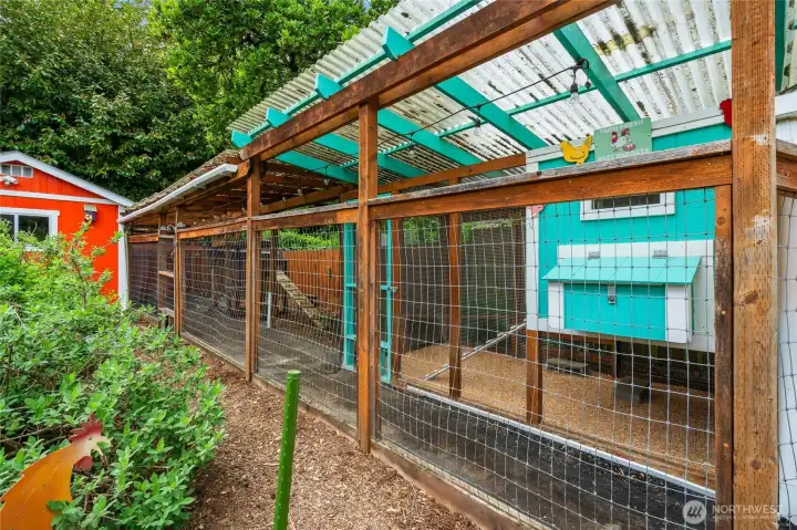 Chicken Coop and enclosure