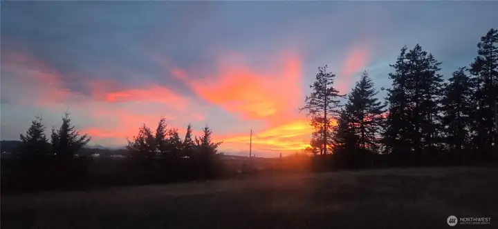 Enjoy gorgeous sunsets on your 2.5 acres