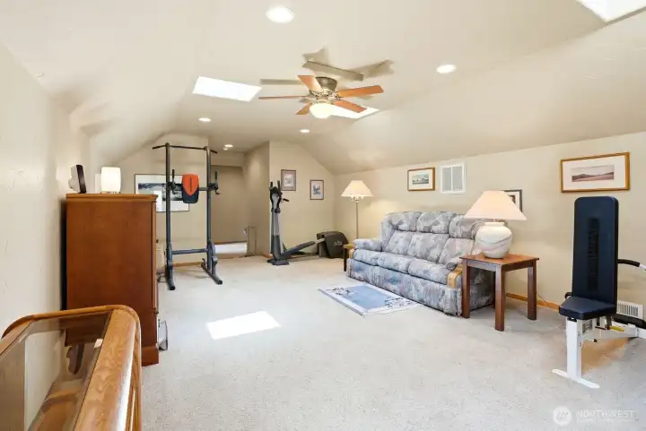 Rec room/bonus room-upper