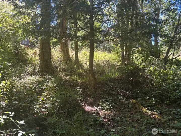 Facing West from property.