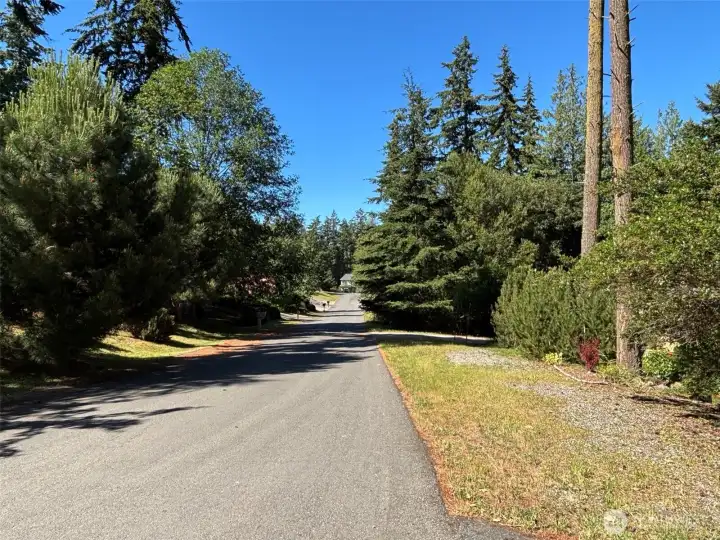 Street view facing South