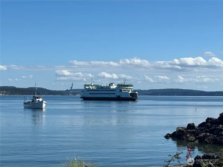 View from downtown PT