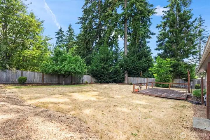 Large yard includes fruit tree Large yard includes fruit tree