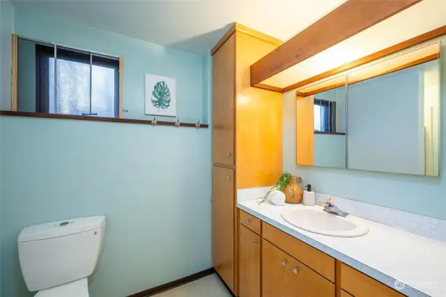 Lower level bathroom with a shower.