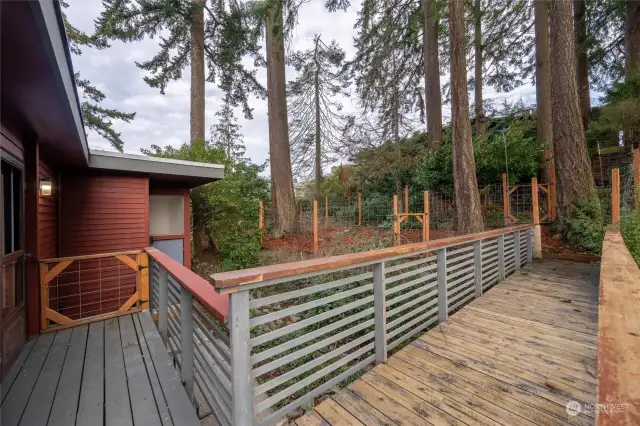 Bridge outside the kitchen door leads to the back yard, dog run and natural areas.