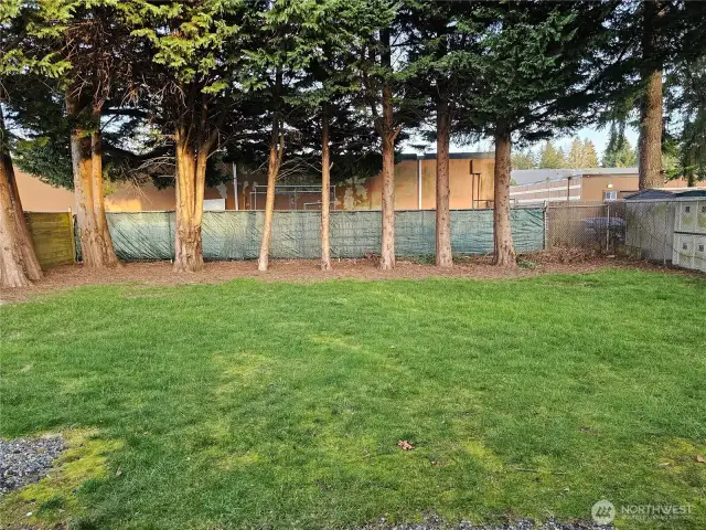 Spacious, fully fenced back yard with plenty of room to run and play